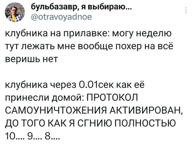 Мема-градия в баянах