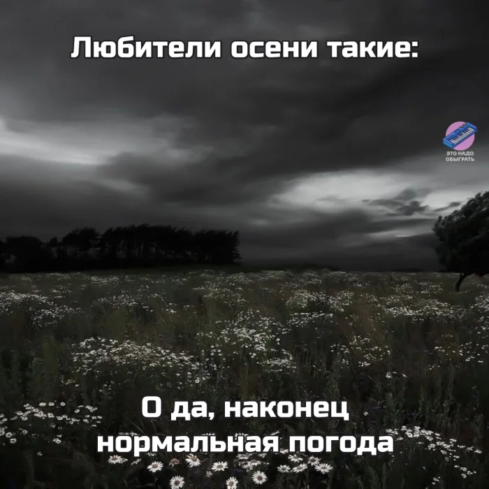 Осенний юмор: подборка шуток Осенний юмор: подборка шуток