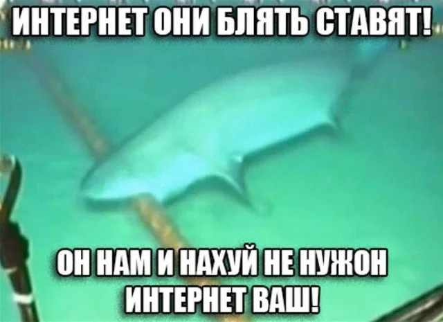 Вау! Деградация в мемах!