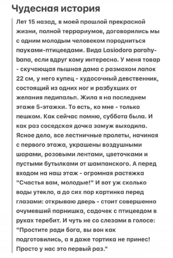 Суперские мемы