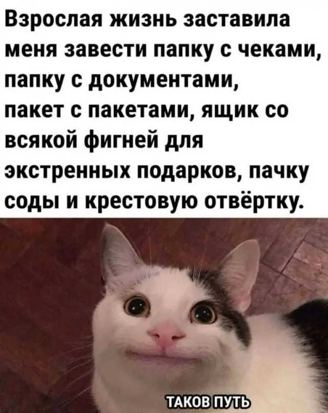 Ржачно в мемах