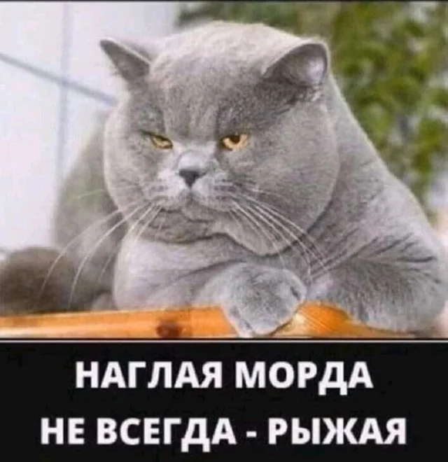 Мемы - это хорошо