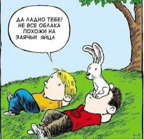 Разнообразные баяны