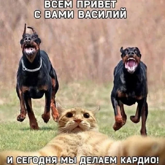 Кайфовые мемы