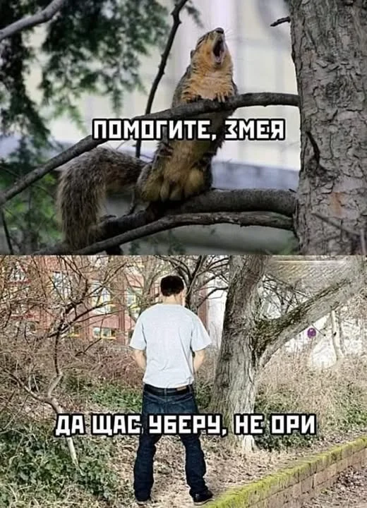 Обратная эволюция в мемах