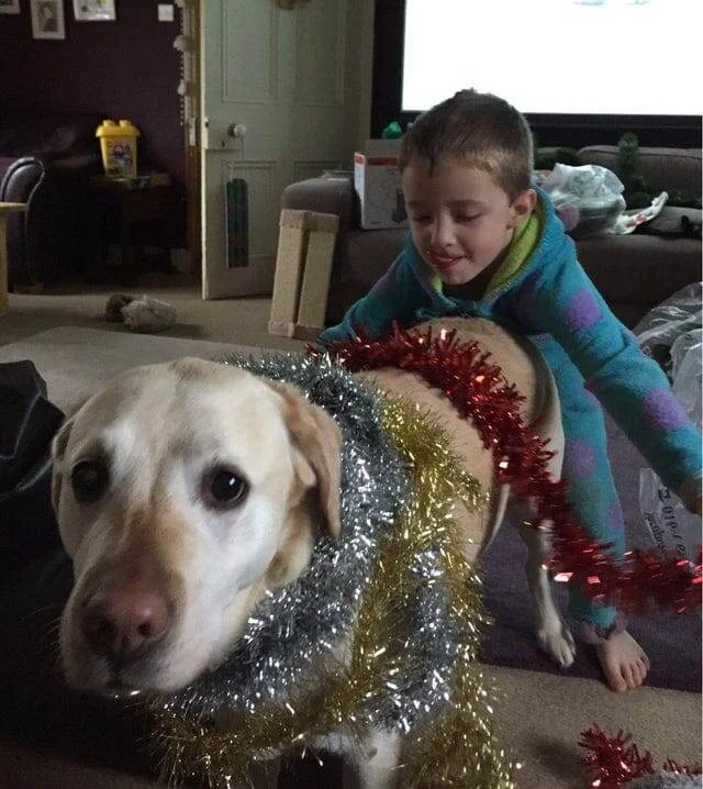 16 примеров того, что жизнь с детьми и питомцами превращается в бесконечное приключение 16 примеров того, что жизнь с детьми и питомцами превращается в бесконечное приключение