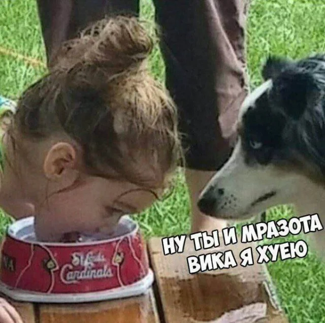 Мемы нестандартного юмора