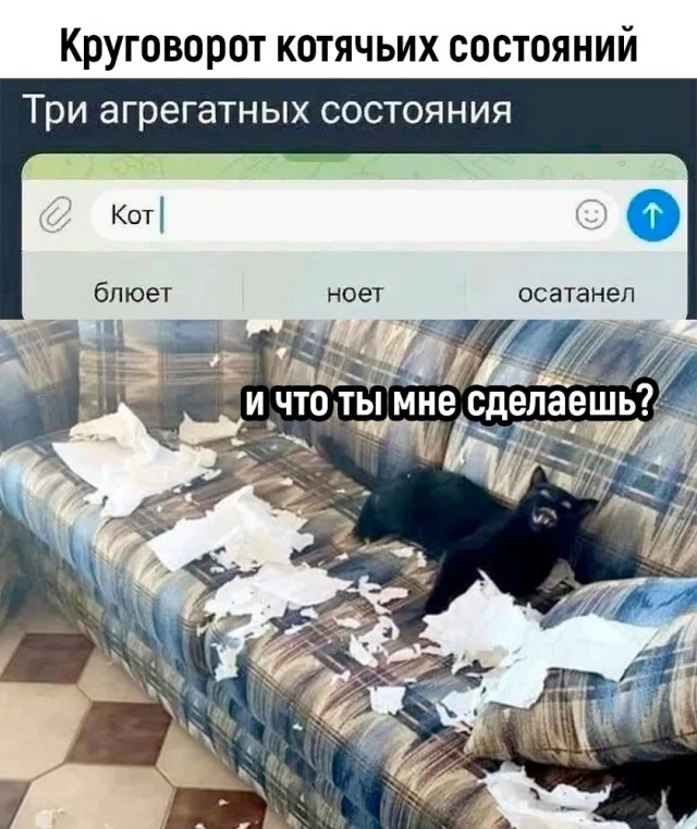 Супер свежие мемы