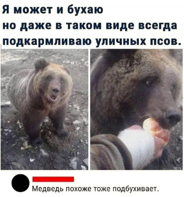 Свежая деградация в мемах