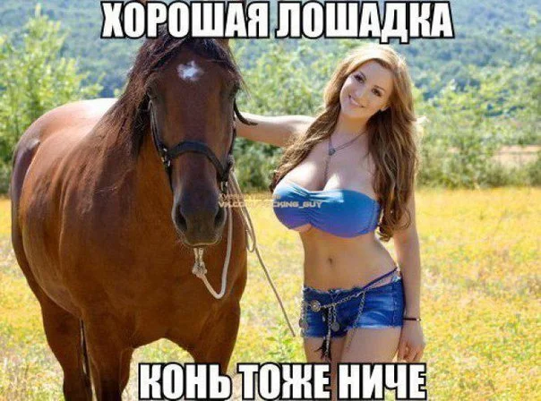 Обратная эволюция в мемах