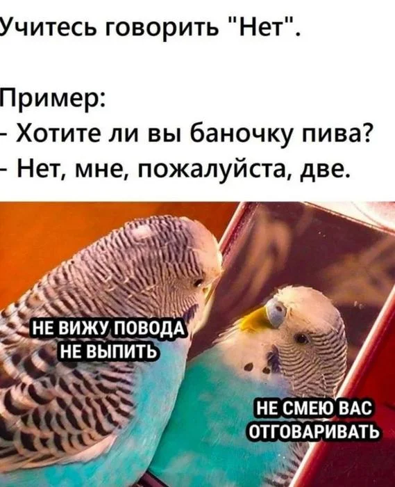 Вау! Деградация в мемах!