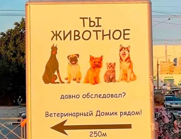 20 гениально нелепых вывесок и объявлений, которые поднимают настроение