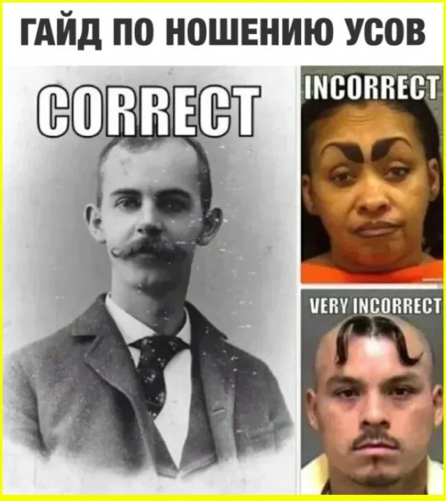 Кайф! Картинки!