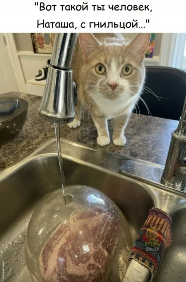 Разнообразные мемы