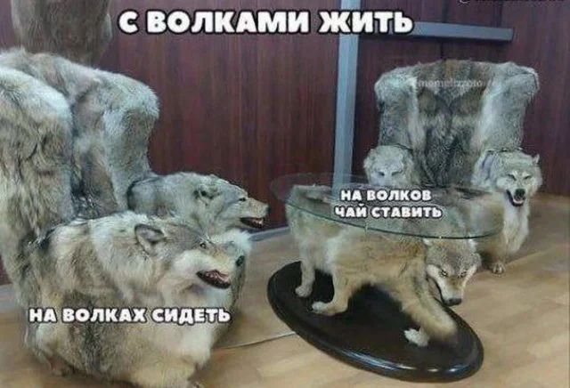 Деграднем в мемах