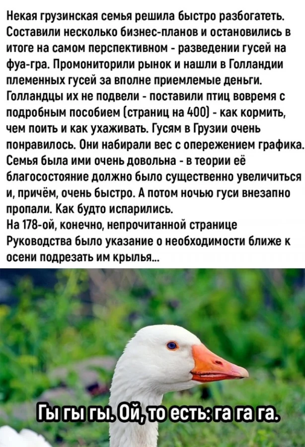 Классное настроение в мемах