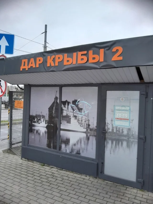 Мемы хорошего настроения