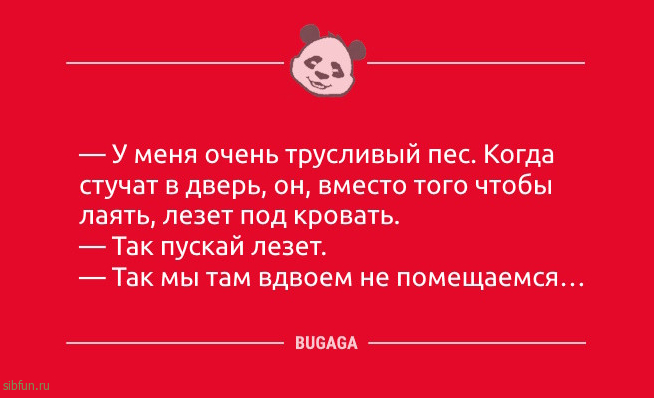 Анекдоты для всех: «Главное — не грузить себя!» 