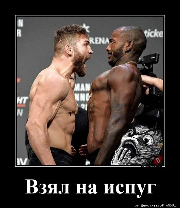 Свежая порция демотиваторов — иронично, жизненно и с сарказмом