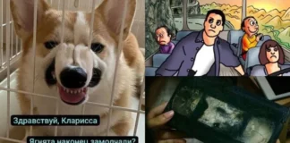 Мемы про кино: как изменятся фильмы в будущем и как выглядят герои «Очень странных дел» тогда и сейчас