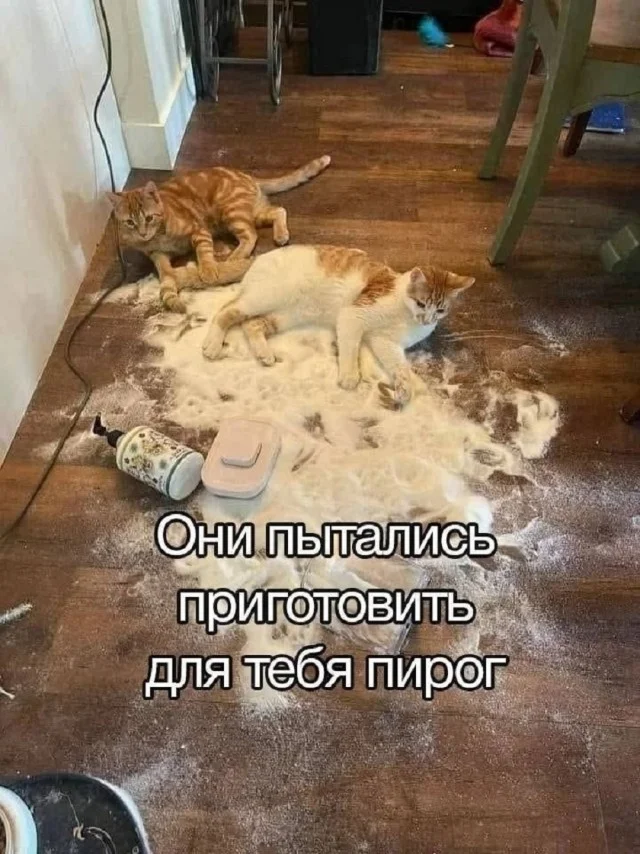 Классное настроение в мемах
