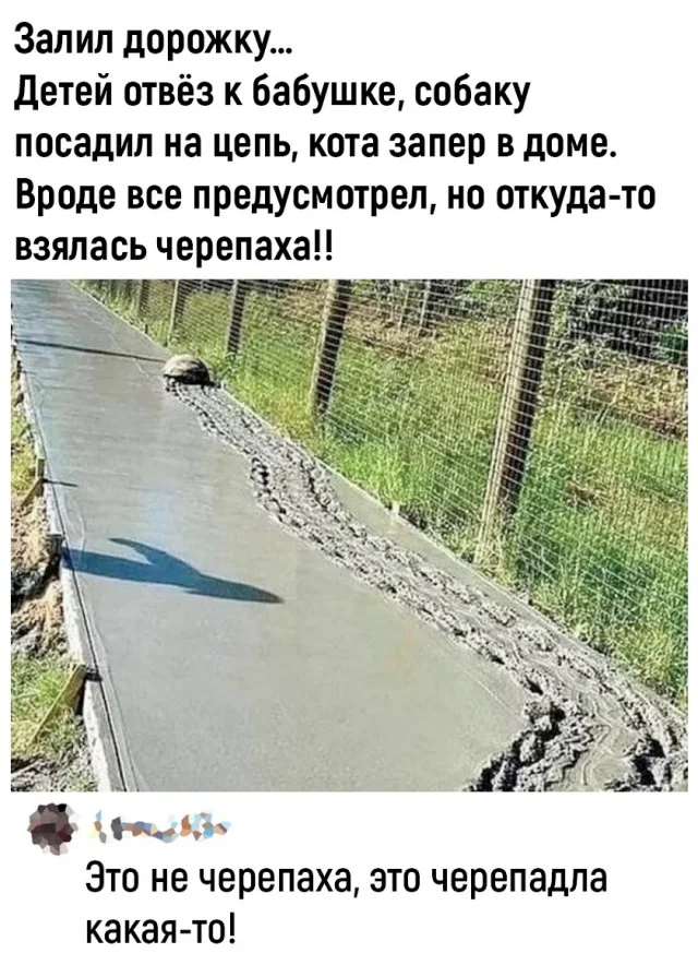 Ну прям свежие мемы