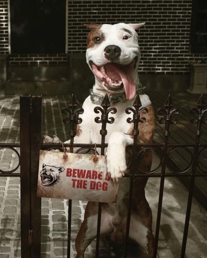 16 смешных ситуаций, когда таблички обещали одно, а происходило совсем другое 16 смешных ситуаций, когда таблички обещали одно, а происходило совсем другое