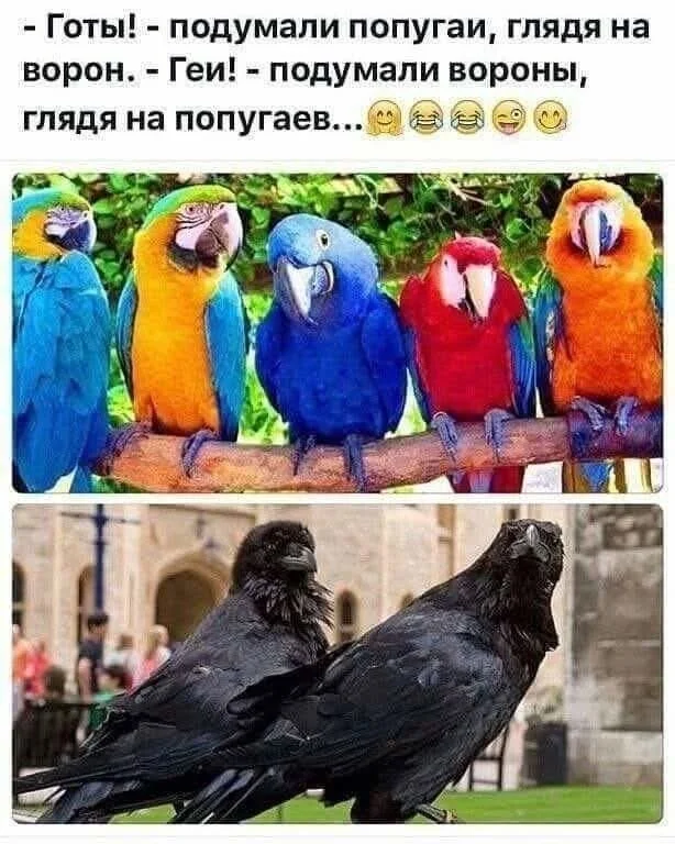 Отличные приколы #2