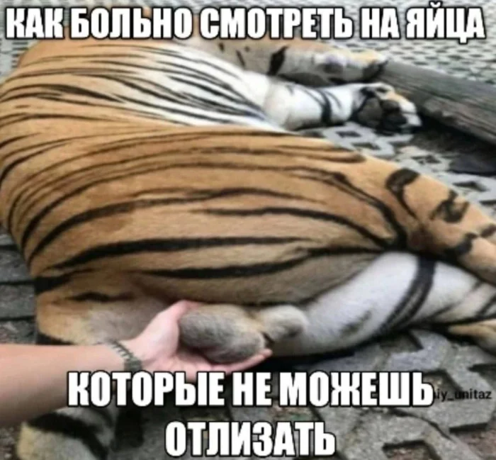 Пошлые мемы и чёрный юмор 18+ | Подборка #43 Пошлые мемы и чёрный юмор 18+ | Подборка #43