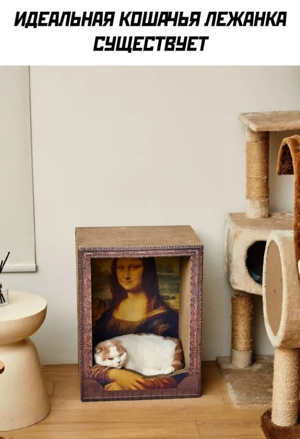 Заходи, погляди мемы!