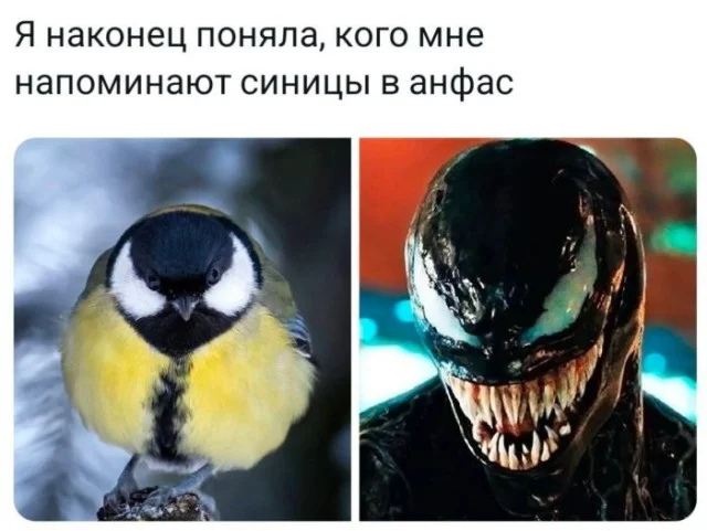 Деграднем в мемах