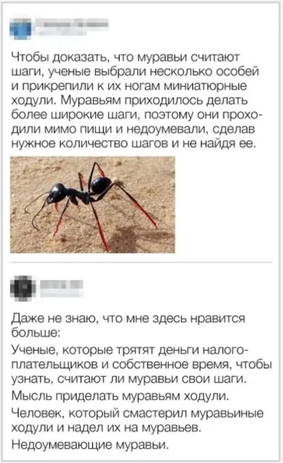 Мемное ассорти