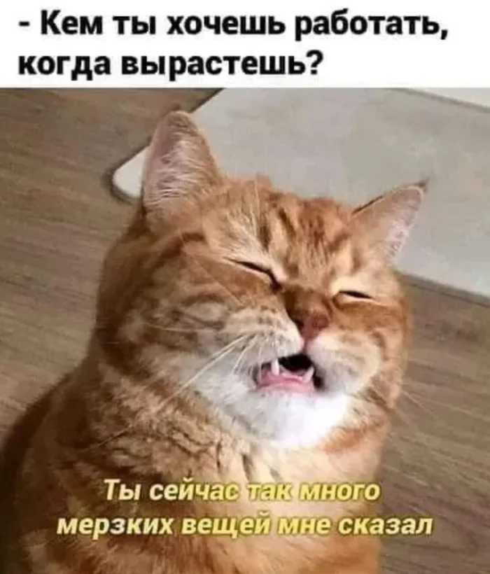 Текста в картинках