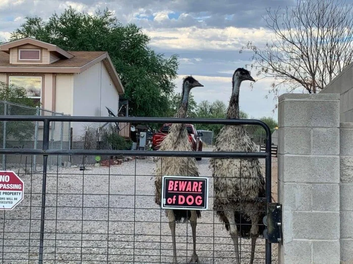 16 смешных ситуаций, когда таблички обещали одно, а происходило совсем другое 16 смешных ситуаций, когда таблички обещали одно, а происходило совсем другое