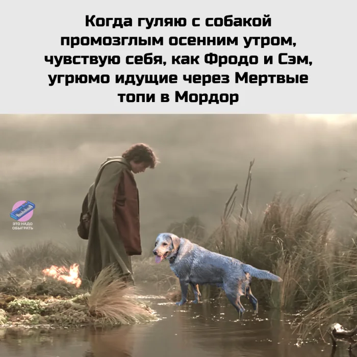 Осенний юмор: подборка шуток Осенний юмор: подборка шуток