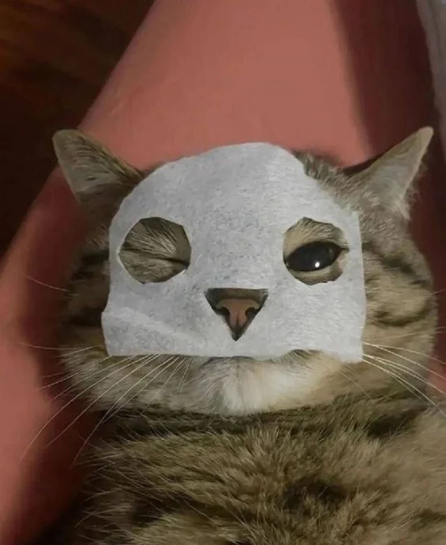 Классное настроение в мемах