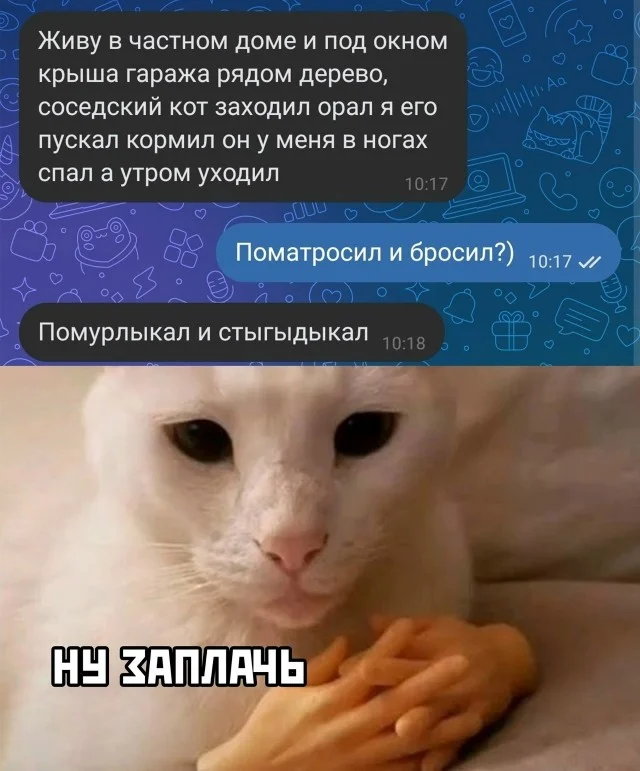 Мемы для настроения