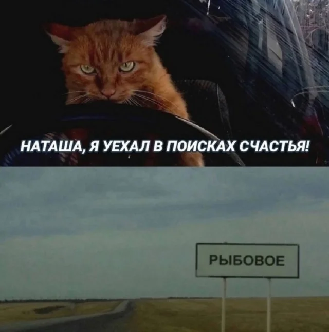 Супер свежие мемы