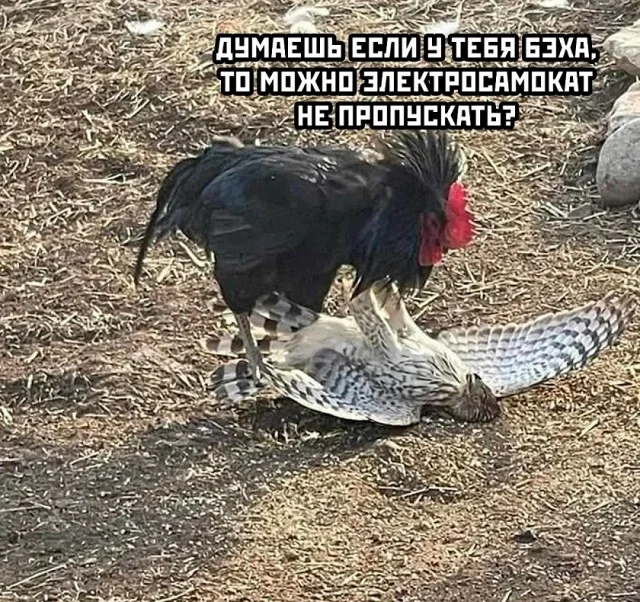 Кайфовые мемы