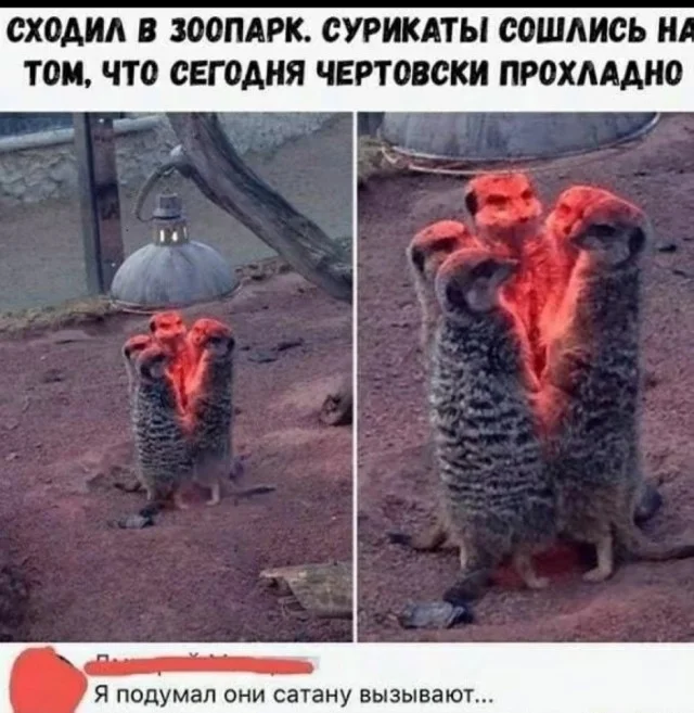 Держите мемы: смешно и весело