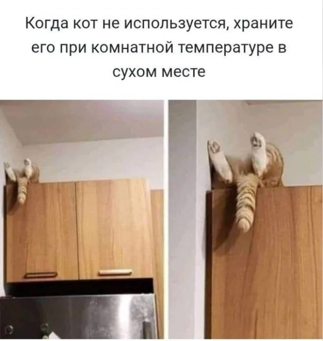 Мемчики на четверг