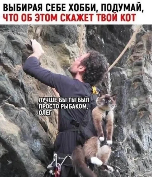 Свежая деградация в мемах