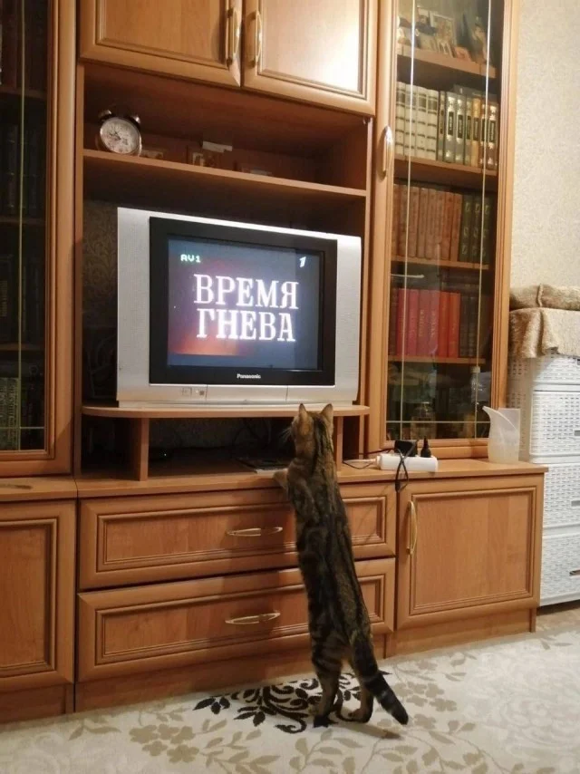 Вчерашние мемы