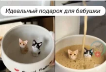 Пошлые мемы и чёрный юмор 18+ | Подборка #38