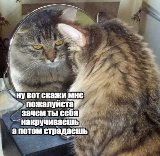 Деграднем с мемами