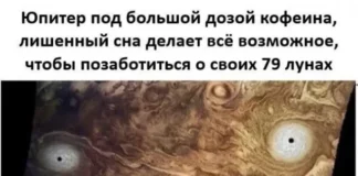 Деграднем в мемах