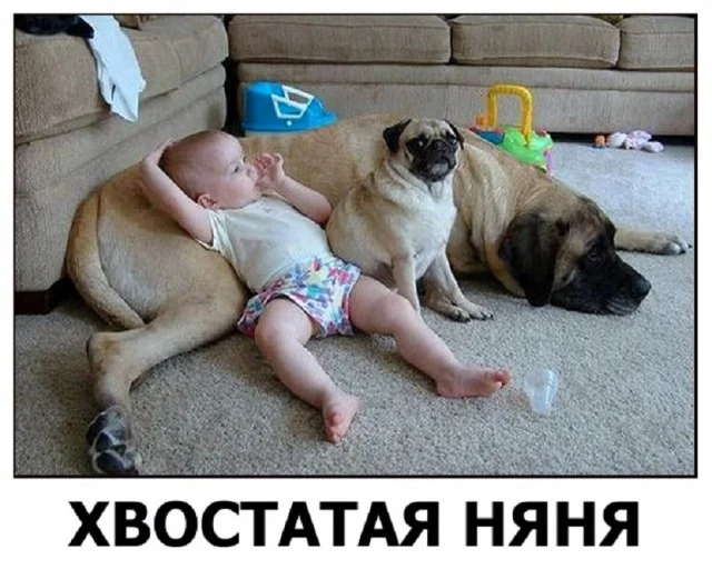 Обожаю мемы!