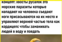 Кайф! Картинки!