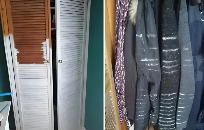 30 людей, чья безрассудность поразила всех вокруг 30 людей, чья безрассудность поразила всех вокруг