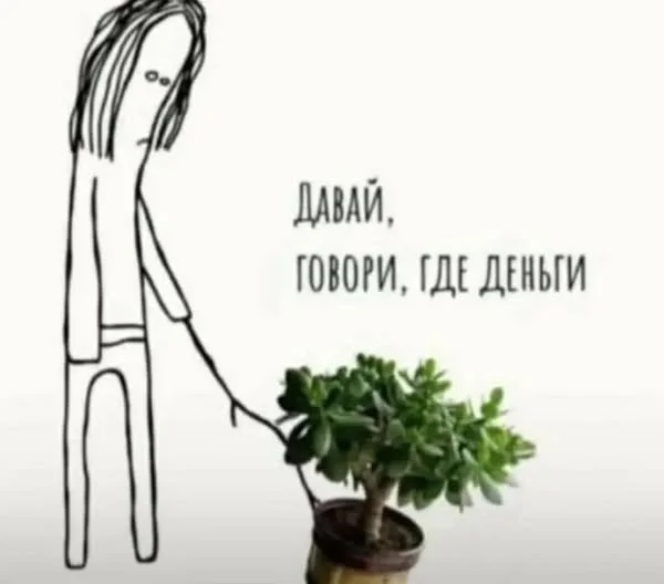 Разнообразные баяны